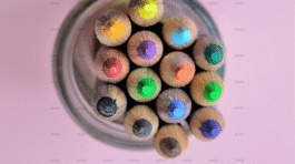 demo-attachment-207-pexels-miguel-a-padrinan-230514